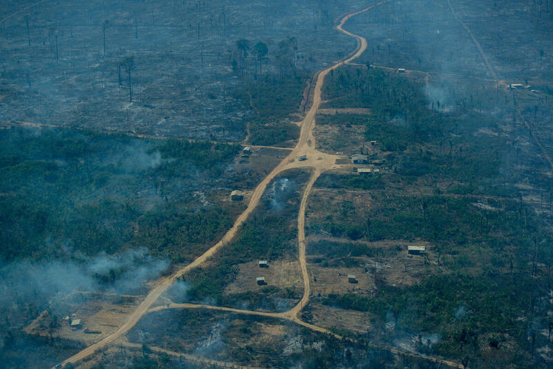 巴西亞馬遜地區的毀林面積連續3年持續擴大，由2020年8月1日到2021年7月30日，亞馬遜雨林的毀林警報面積接近8個香港的總陸地面積。© Christian Braga / Greenpeace