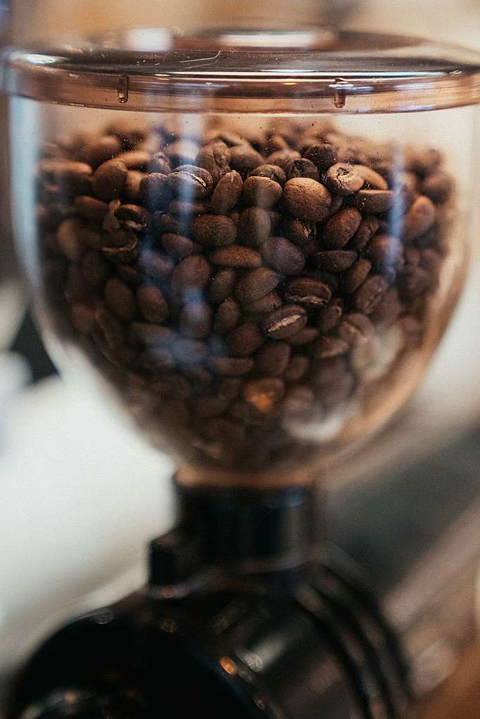 世傑提到初入行時,曾經飲過一杯埃塞俄比亞的精品豆,Ethiopia Yirgacheffe G1產區經日曬處理的原生種Heirloom,至今念念不忘。可惜氣候影響關係,已經找不回這種豆。© Greenpeace / Patrick Cho