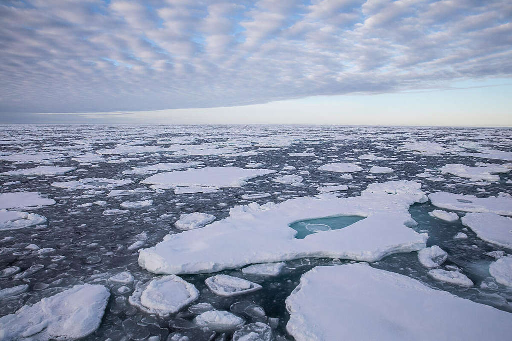 隨著氣溫逐漸升高，2020年9月，北極「年度海冰最小值」錄得歷來第二低點，最快2035年可能面臨夏季無海冰的窘境。 © Daniella Zalcman / Greenpeace