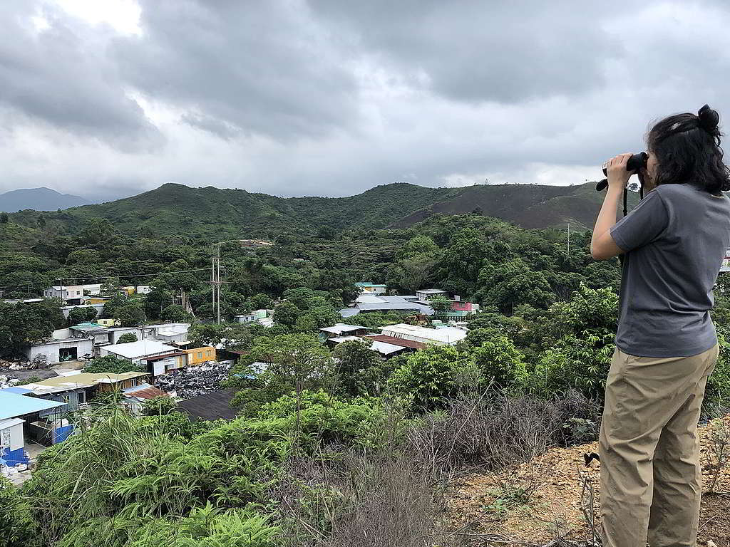 尋找高位據點視察，可說是土地研究的「基本功」。 © Greenpeace