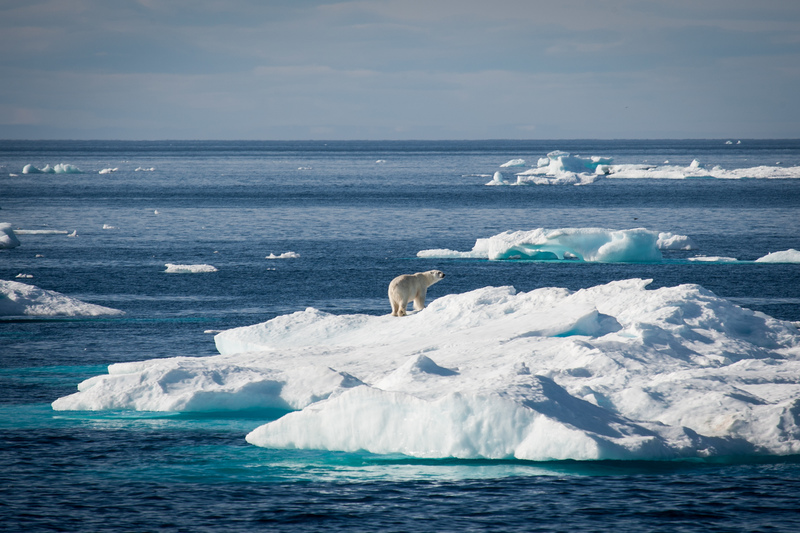 北極海冰最小值最新公佈，記錄中15個最低數值，悉數於過去15年（包括今年2021年）錄得。© Ian Willms / Greenpeace