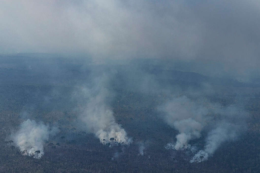 亞馬遜州多處火頭火勢未平息，天空濃煙密佈。 © Victor Moriyama / Amazônia em Chamas