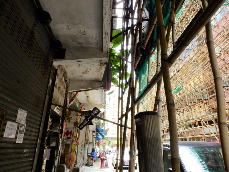 野芋在這個鴻福街門牌簷上何等茂綠。© helen yip