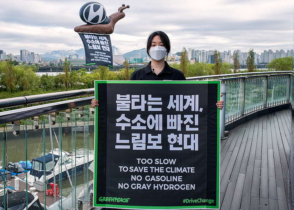 「拯救氣候太緩慢：不要燃油，不要『灰氫』。」首爾辦公室向現代汽車表達明確訴求。 © Greenpeace