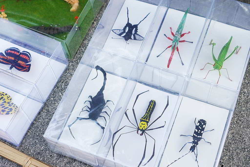 Stony大約3年前開始創作生態模型,這些模型是他的教學好幫手。 ©ABCAT / Greenpeace