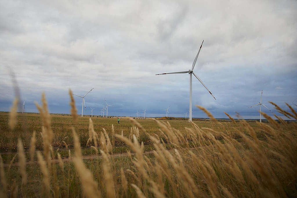 俄羅斯烏里揚諾夫斯克(Ulyanovsk)州的風電場 © Greenpeace / Zamyslov Slava