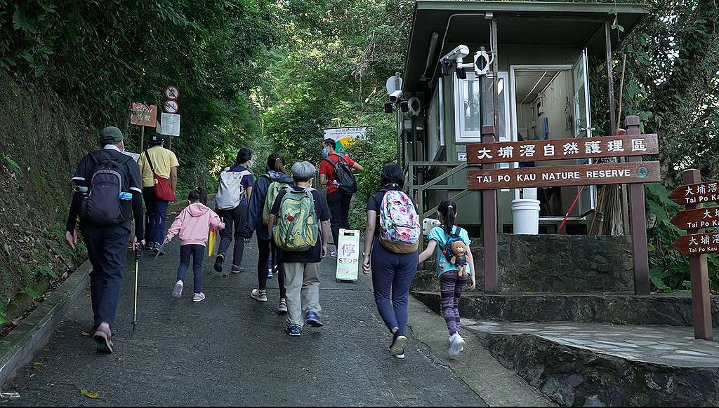 綠色和平會員活動「與秋風相伴，與萬物連結」生態導賞，出發！© Greenpeace