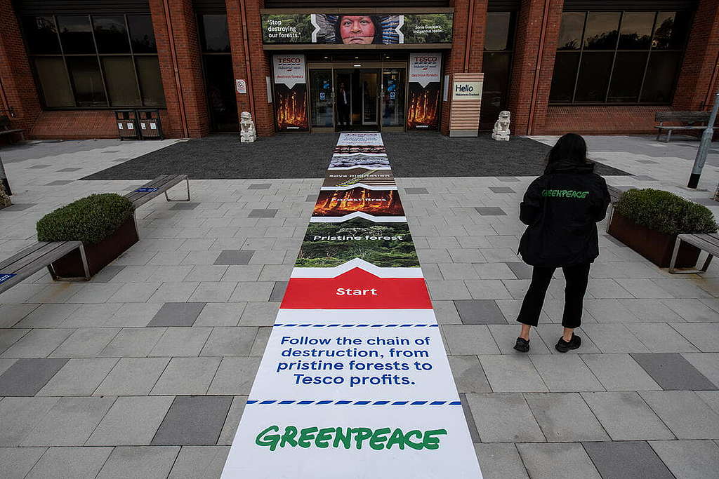 綠色和平英國辦公室行動者去年在TESCO總部門外設置「毀林之路」，促請這間連鎖超市停止向JBS採購毀林肉品。 © Chris J Ratcliffe / Greenpeace