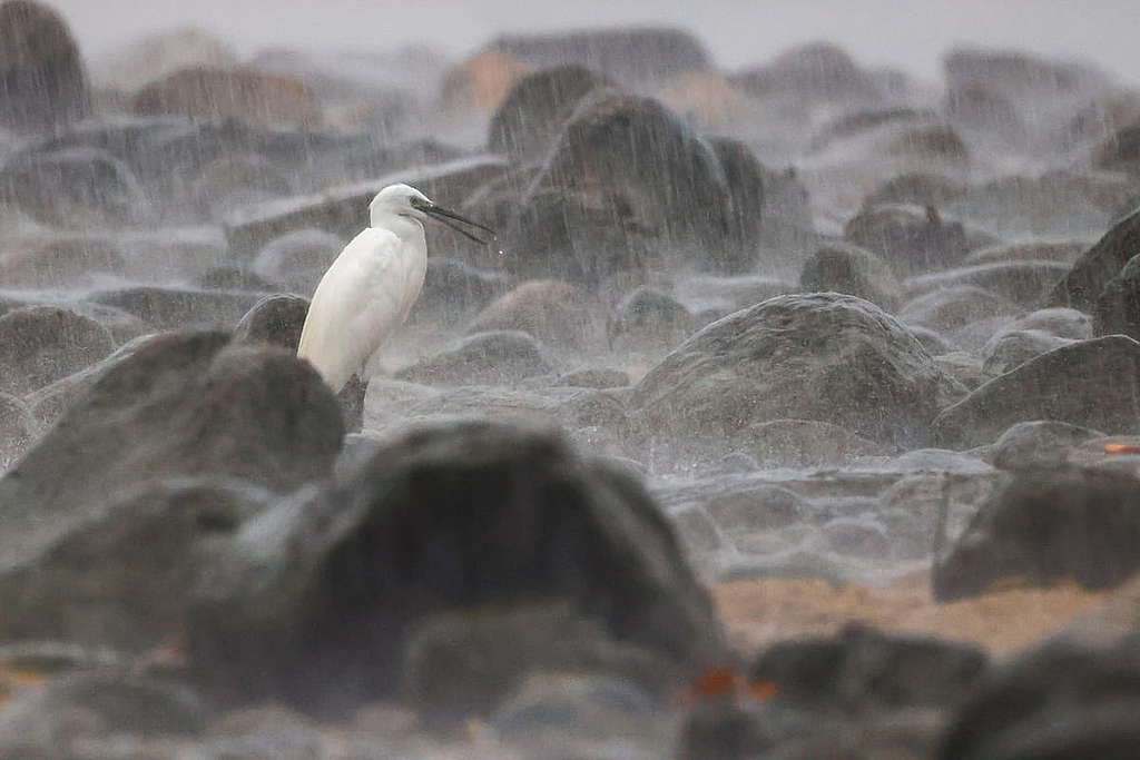 堅持 / © Wai Lun Liu