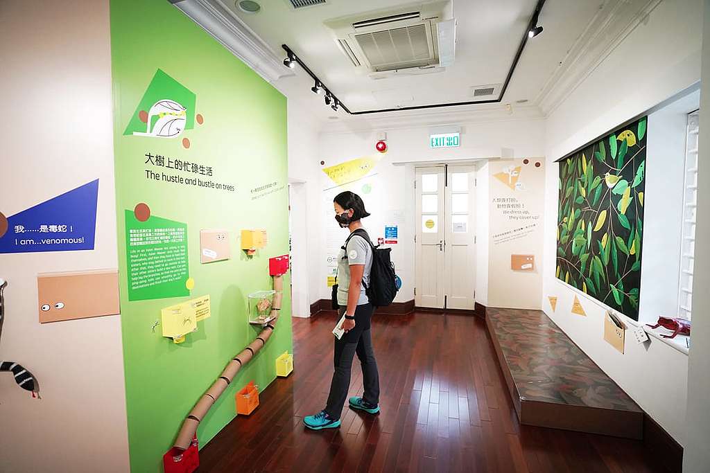 展覽有10個不同展區,結合遊戲令小朋友寓學習於娛樂。 © ABCAT / Greenpeace