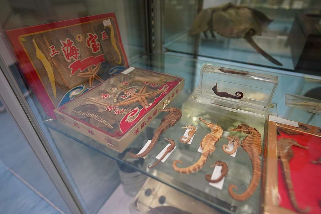 藏品還包括一些以動物製成的中藥材,令我們反思物種受到的威脅。 © ABCAT / Greenpeace
