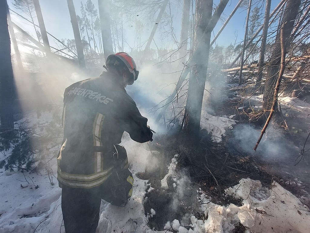 綠色和平消防員在葉卡捷琳堡森林區視察，揭露令人憂慮的「殭屍火」隱患。