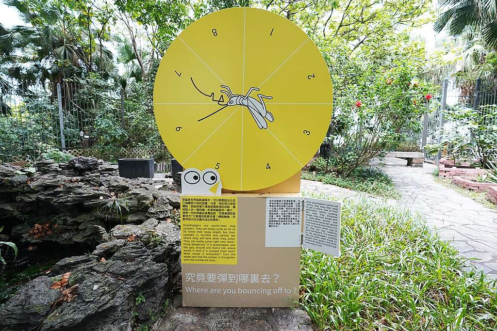 來轉動草蜢的命運之輪,看看會跳到什麼地方? © ABCAT / Greenpeace