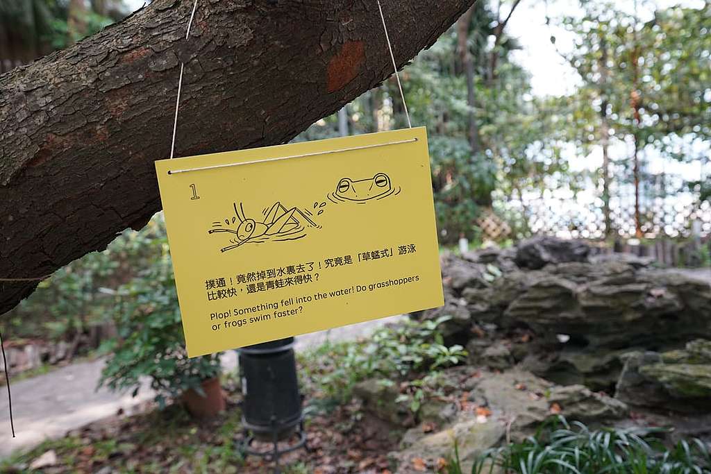 一不小心,草蜢可能會掉入水池呢。 © ABCAT / Greenpeace