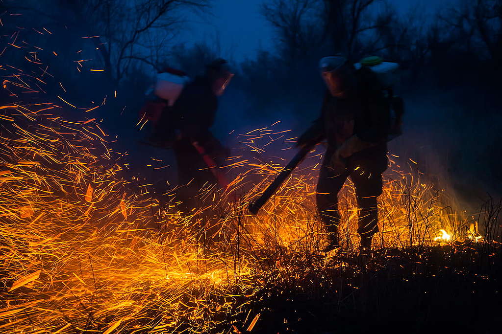2015年，綠色和平消防隊義工嘗試撲熄阿斯特拉罕保護區的草原大火；當地近九成火災皆因人為燃燒乾草造成，如今情況有所改善。© Igor Podgorny / Greenpeace