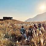 黃昏之時Tugo攝於大東山爛頭營 © Tugo Cheng / Greenpeace