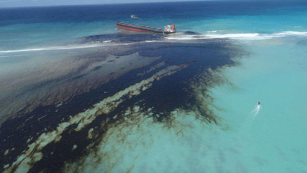 毛里求斯2020年爆發嚴重漏油事故，綠色和平非洲辦公室跟進善後工作，並發起#NEVERAGAIN聯署避免事故再次發生。 © Greenpeace