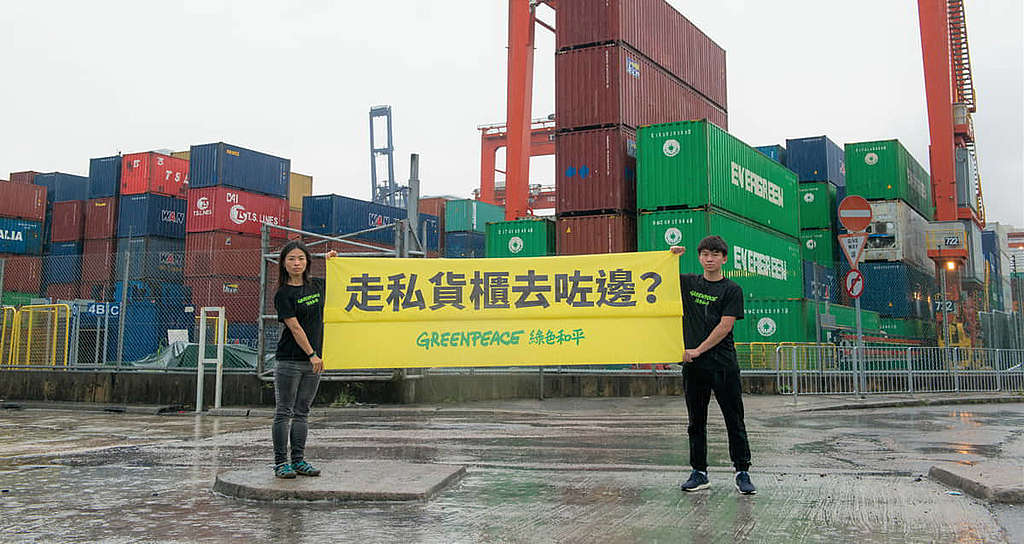 綠色和平追蹤退返回港、裝滿廢塑膠及電子垃圾的貨櫃，促請當局加強把關。 © Greenpeace