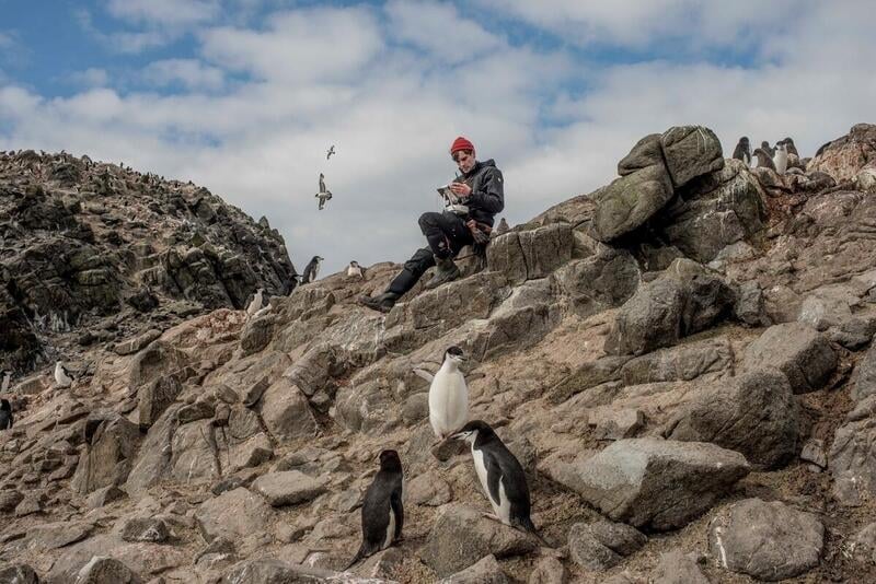 2022年1月科學家Michael Wethington與其Stony Brook University的科學家團隊，隨綠色和平極地曙光號抵達南極半島，以先進及較少侵擾的無人機技術計算當地企鵝數量。© Tomás Munita / Greenpeace