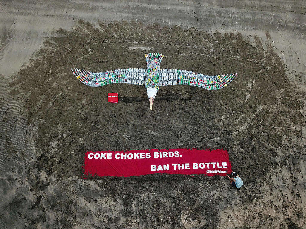 2021年10月，綠色和平紐西蘭辦公室行動者在奧克蘭海岸以即棄膠樽砌成巨型信天翁作品，傳達雀鳥成為樽下亡魂訊息，傳達超過10萬人遏止塑膠污染的訴求。 © Greenpeace / Ben Sarten