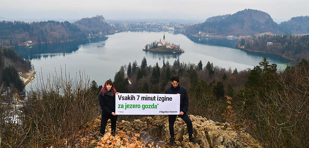 斯洛文尼亞名勝布萊德湖（Lake Bled）面積達145公頃，同等大小的森林卻只須7分鐘便告消失。 © Aleksander Marinšek / Greenpeace