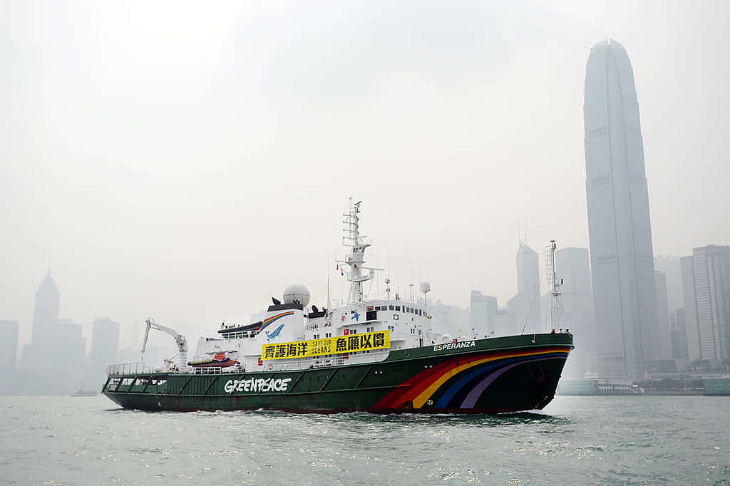 希望號在東亞地區展開「齊護海洋」之旅,途經香港。(2012) © CLEMENT TANG WAI KIN / Greenpeace