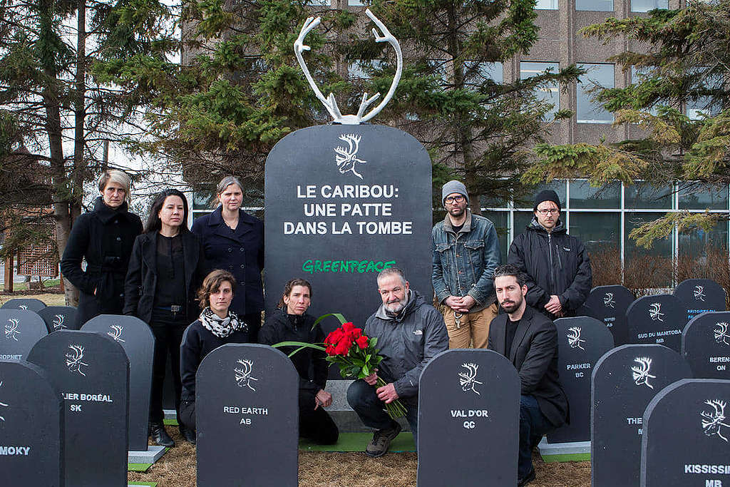 Coralie（前排左一）任職加拿大辦公室期間，亦有參與不同守護環境行動，包括2018年促請當局加強保護珍稀馴鹿（caribou）。 © Toma Iczkovits / Greenpeace