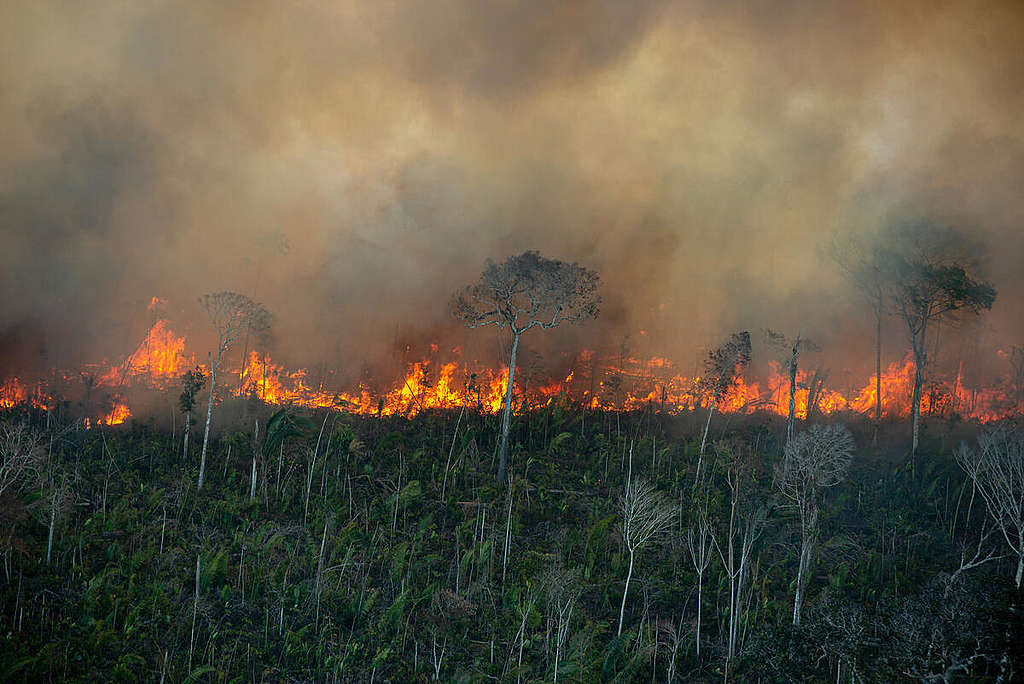 綠色和平每年都會作亞馬遜森林毀林飛行監測調查。這是2021年7月底巴西朗多尼亞州韋柳港（Porto Velho）森林區所攝到的火燒森林的景象。© Christian Braga / Greenpeace