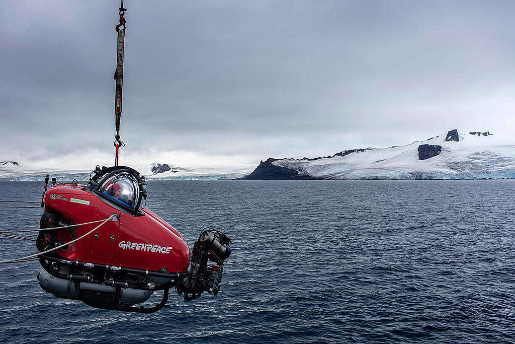 美國加州科學院的Susanne Lockhart博士與綠色和平美國辦公室海洋項目主管John Hocevar，日前乘坐小型潛水艇深潛南極海床，蒐集科研證據。 © Marizilda Cruppe / Greenpeace