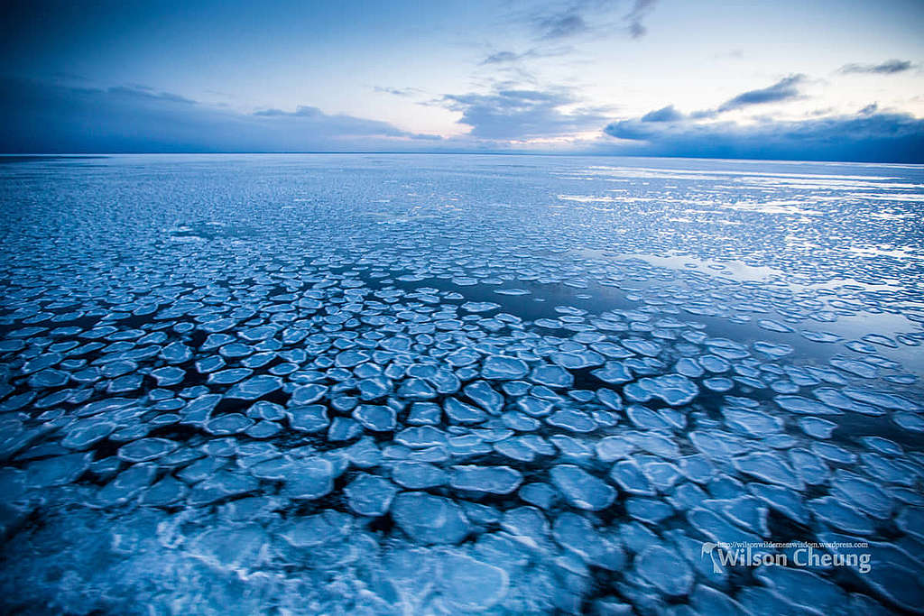 薄餅冰（Pancake ice）──相片攝於冬天的斯瓦爾巴群島，海面波濤洶湧，導致海冰未能一大片的形成，呈現圖中的薄餅形狀。最終，所有薄餅都會組合形成一片大海冰。 © Wilson Cheung