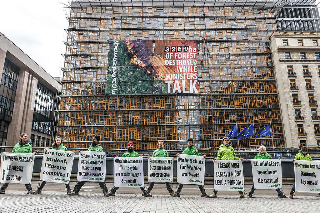 綠色和平行動者前往位於比利時布魯塞爾的歐盟總部外，促請歐盟各國環境部長盡快制訂足以守護森林的環境法案。 © Johanna de Tessières / Greenpeace