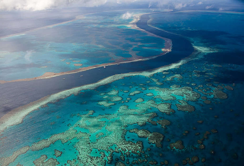 澳洲大堡礁是全球最大的珊瑚礁，也是世界上生物多樣性最豐富的生態系之一。圖為2008年的大堡礁。 © Michael Amendolia / Greenpeace