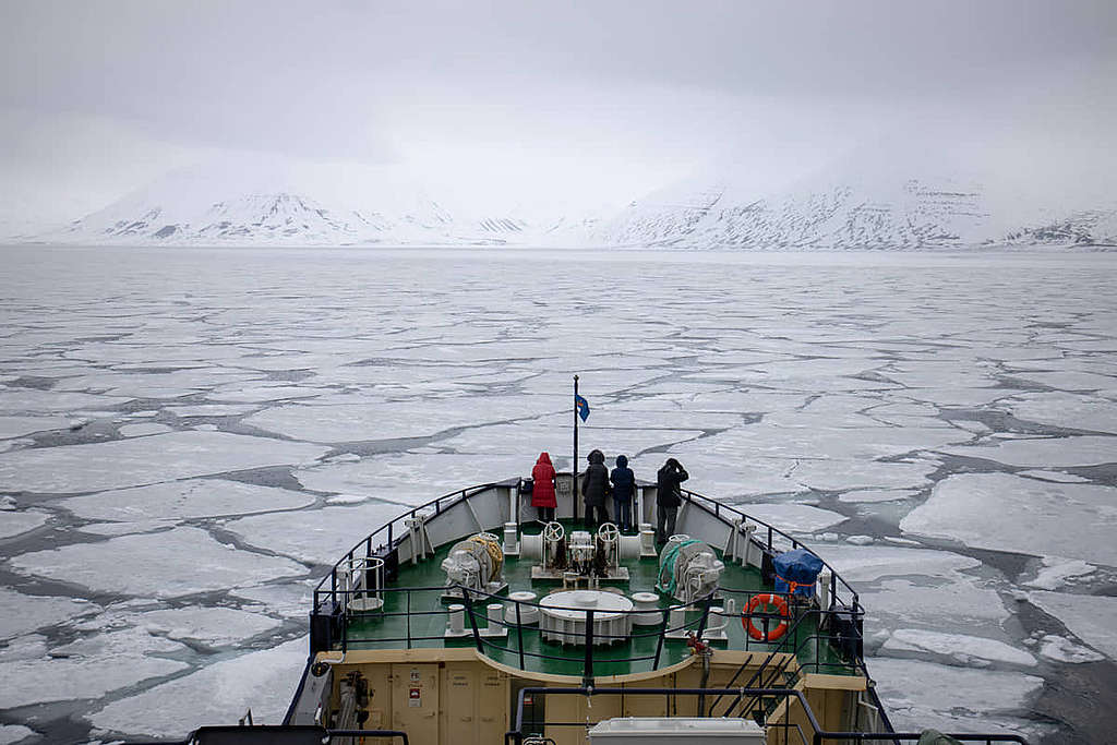 在北極夏天的時候，所有海冰開始融化，導致很多生物失去牠們的棲息地和獵食場地。 © Wilson Cheung
