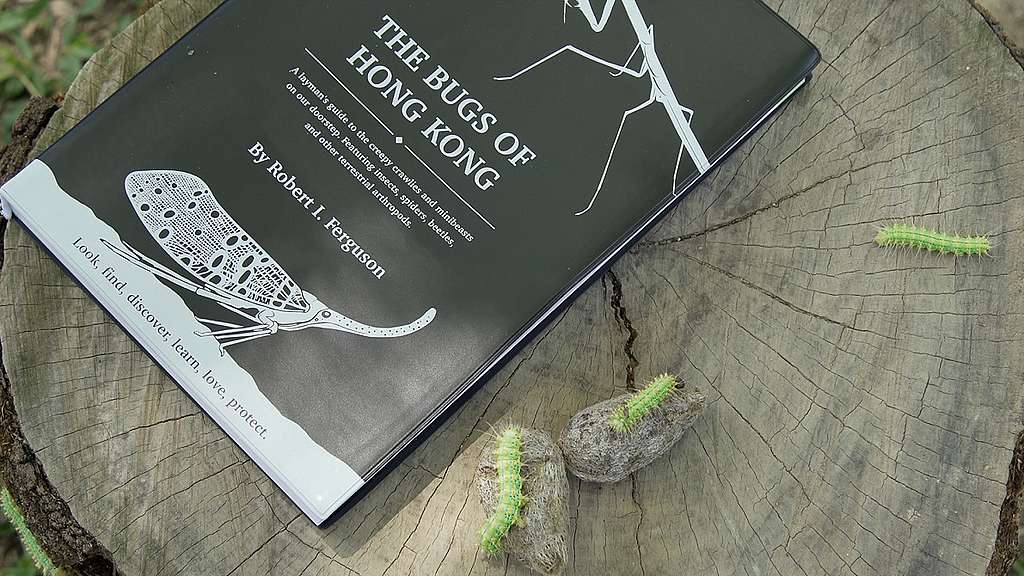 Robert Ferguson 鼓勵大家 Look, Find, Discover, Learn, Love, Protect 觀察、尋找、發現、學習、愛上、保護。書本旁綠色的毛蟲是印度絲蠶蟲。© Greenpeace