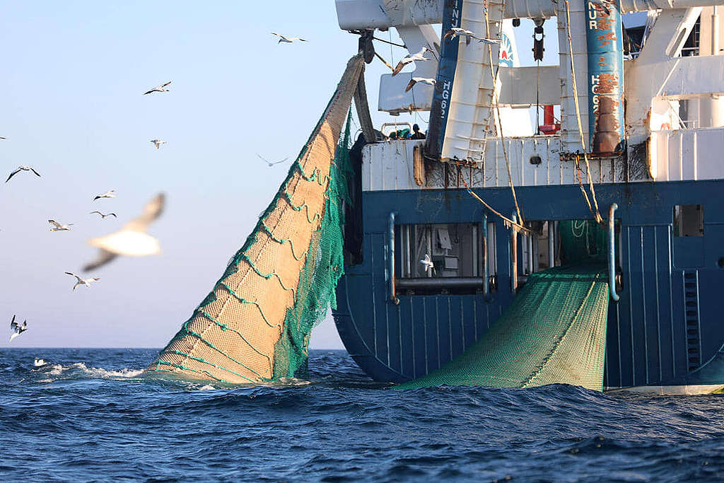 綠色和平船艦2020年6月巡經Dogger Bank水域，遇上拖網漁船破壞海洋的作業，成為整個行動的導火線。 © Greenpeace