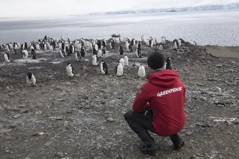 2018 年，我有幸親身到訪南極頰帶企鵝棲息地，更難得是往後促成磷蝦捕撈業在當地自願設立禁捕區。© Daniel Beltrá / Greenpeace
