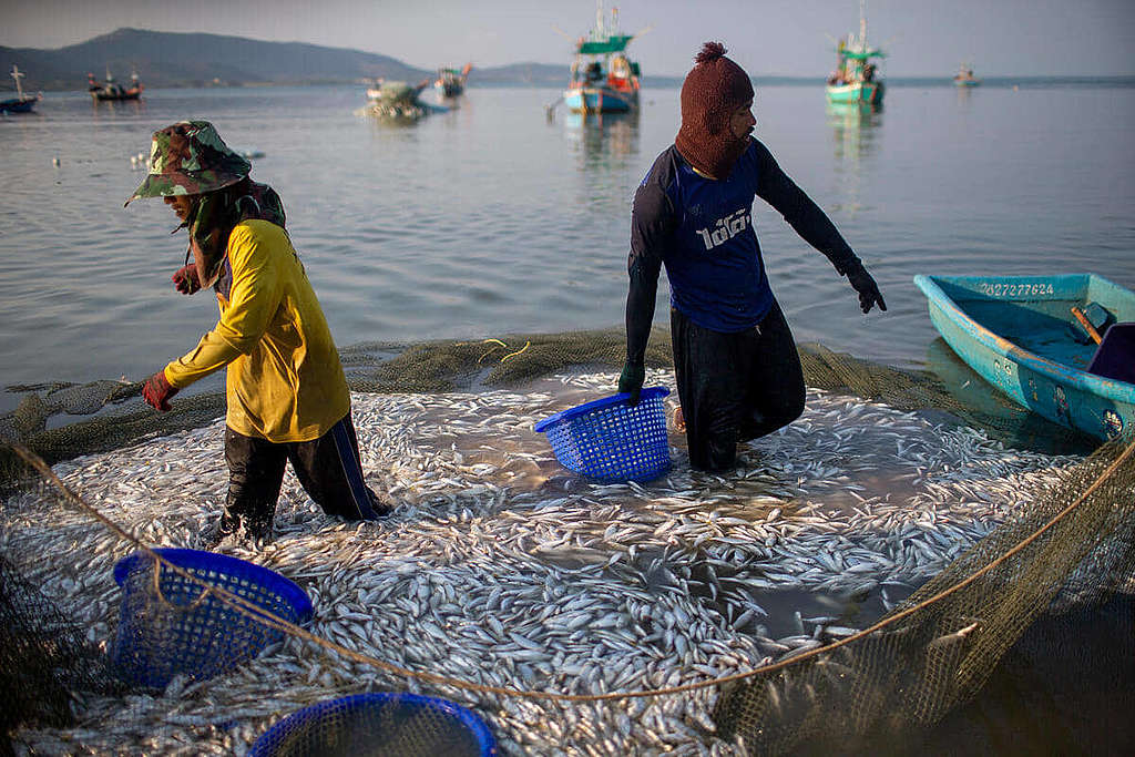 泰國Khan Kradai Bay當地人決定以可持續發展的方法捕魚。 © Chanklang Kanthong / Greenpeace