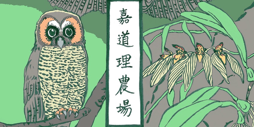 [事過境遷] 嘉道理農場暨植物園 © 呂朗婷