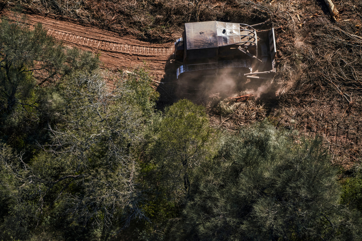© Alejandro Espeche / Greenpeace