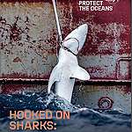 《殺戮鯊場：歐盟捕魚船隊助長全球鯊魚貿易》報告 © Greenpeace