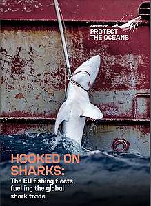 《殺戮鯊場:歐盟捕魚船隊助長全球鯊魚貿易》報告 © Greenpeace
