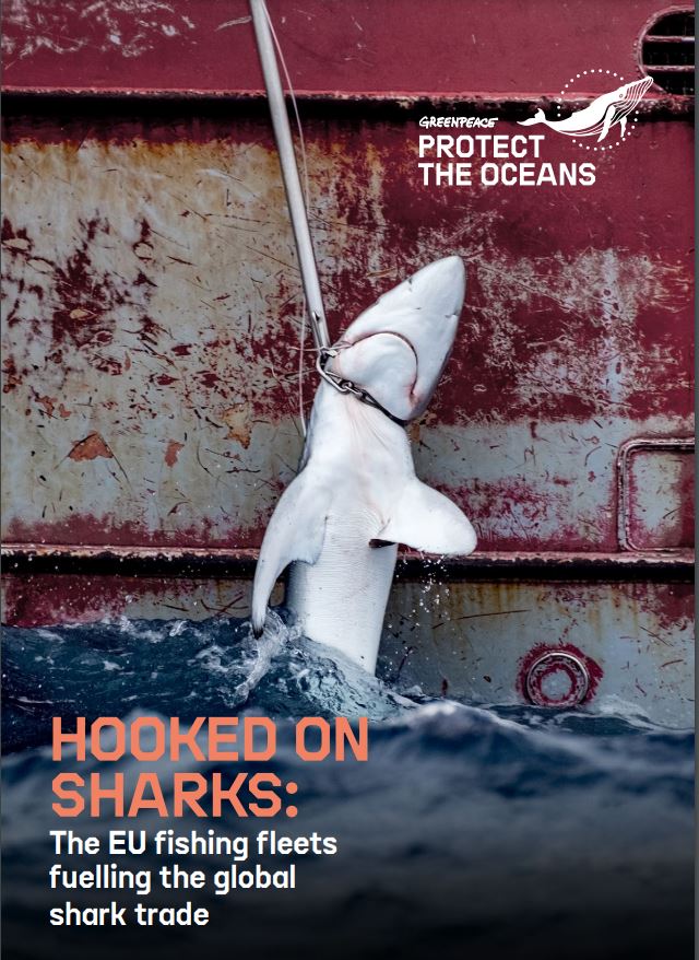 《殺戮鯊場：歐盟捕魚船隊助長全球鯊魚貿易》報告 © Greenpeace