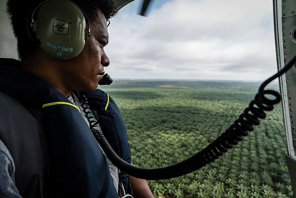 © Ulet Ifansasti / Greenpeace