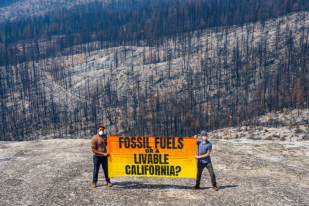 2021 年 8 月，綠色和平行動者在一片燒焦的加州森林面前拉起橫額，促請當局正視氣候危機；今年加州最嚴重山火 Oak Fire 逼近優勝美地國家公園（Yosemite），當地消防員正奮力搶救。 © Andri Tambunan / Greenpeace