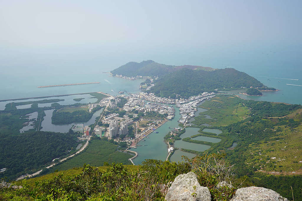 「水鄉」大澳是香港著名的旅遊景點。 © ABCAT / Greenpeace