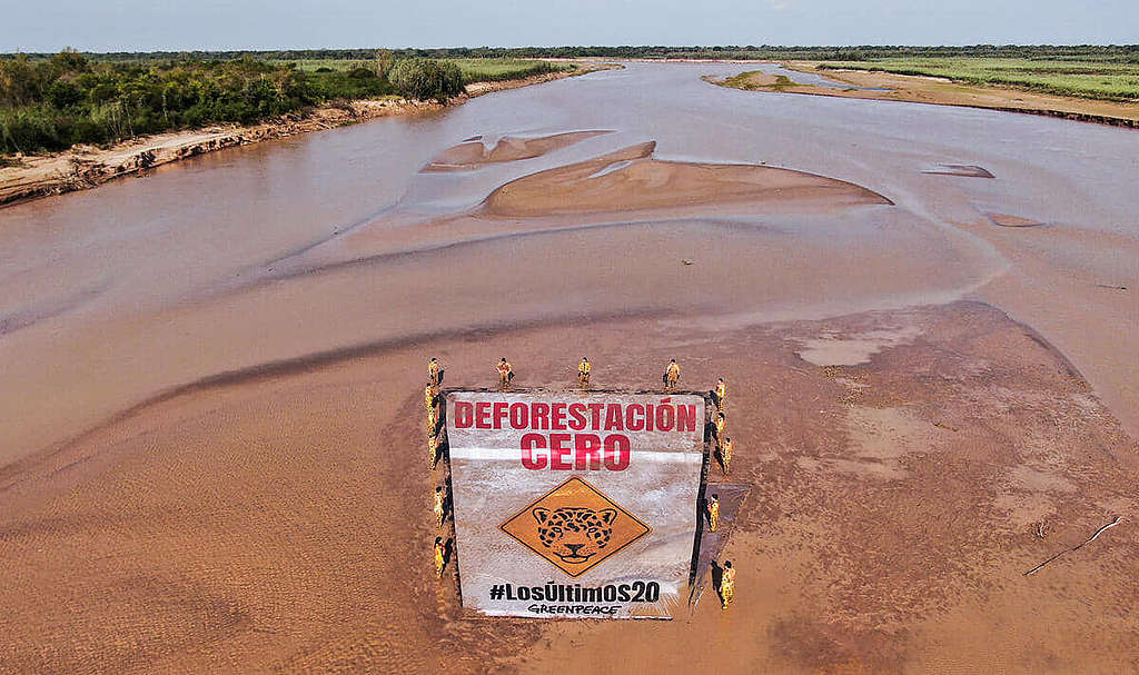 2022 年 7 月 14 日,綠色和平拉丁美洲分部(Greenpeace Andino)行動者在大查科森林的貝爾梅霍河(Bermejo river, the Gran Chaco)展示巨型橫額,要求當局落實「零森林砍伐」,並加強保護當地僅餘不足 20 隻的美洲豹。© Greenpeace