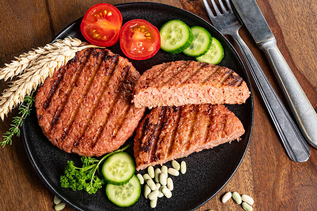 新素肉有好有壞，全盤否定或 all go for it 都不是合宜的態度。 © Shutterstock / barmalini