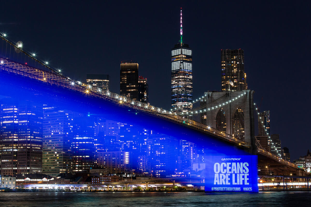 全球代表準備參與 8 月 15 日聯合國總部揭幕的《全球海洋公約》第五次協商會議（IGC5）之際，綠色和平美國辦公室的行動者，讓紐約地標布魯克林大橋（Brooklyn Bridge）燈火燦然，巨大的投影提醒世人海洋的美麗和脆弱。© POW / Greenpeace
