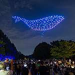 綠色和平保護海洋無人機表演行動，8 月 18 日在首爾森林公園進行，以推動 2030 年保護最少 30% 海洋（保護海洋「30 x 30」）的目標。鯨豚飄浮空中的畫面，令人聯想到大熱韓劇《非常律師禹英禑》的劇情，期望全球守護海洋的目標也如劇情般獲得完美結局。© Greenpeace / Sungwoo Lee