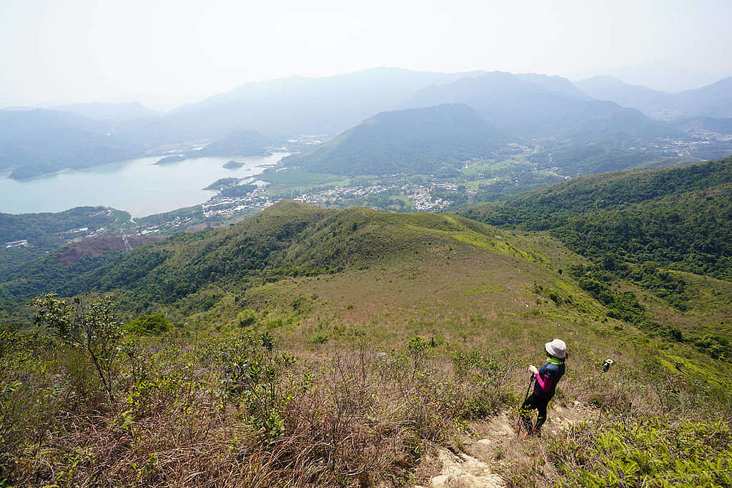 紅花嶺郊野公園原定 2020 年成立，可惜拖延至今。 © ABCAT / Greenpeace